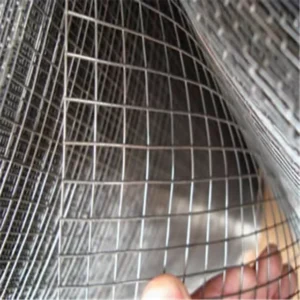 Hot Selling Galvanized Welded Wire Mesh Factory Price Welded Wire Mesh