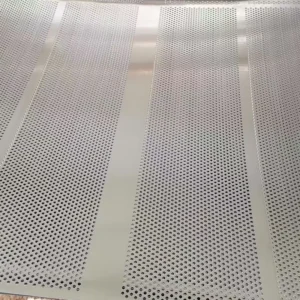 Low price SaleStainless 201 304 316LSteel Wire Mesh Galvanized Perforated Metal Filters With Screen Steel Perforated Screen