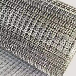Manufacturer 1/2 X 1/2 Galvanized Iron Wire Mesh PVC Coated Welded Wire Mesh