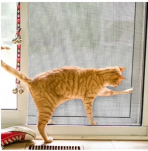 Modern Design Upgraded Thick Window Screen Pet Proof Pet Resistant Screen Mesh Rolls Protective Against Dog Claws Windows Doors