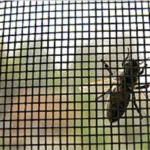 Mosquito Netting Easy Hanging Aluminum Frame Window Screen Mosquito Netting Easy Hanging Aluminum Frame Window Screen