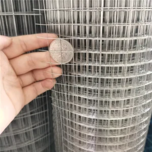 PVC Coated Galvanized Iron Wire Mesh Factory Direct Sales Supports Construction Various Models