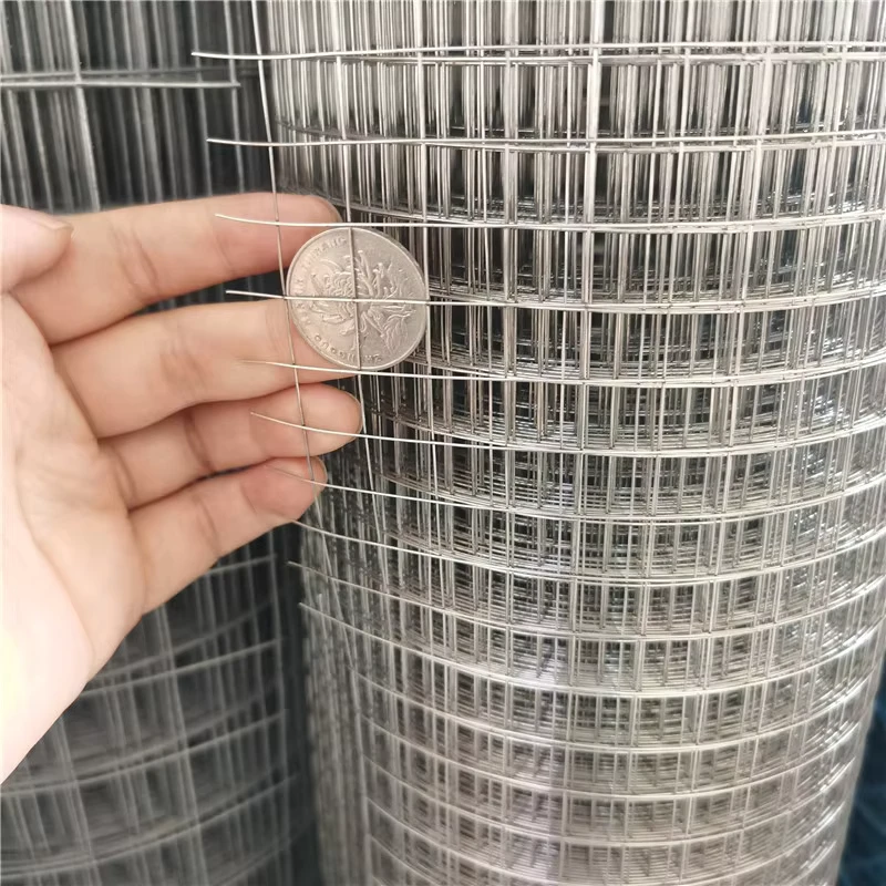 PVC Coated Galvanized Iron Wire Mesh Factory Direct Sales Supports Construction Various Models