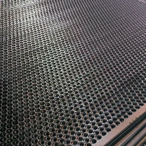Perforated Metal Stainless Steel Mesh for Mining Industry Factory Direct Customization