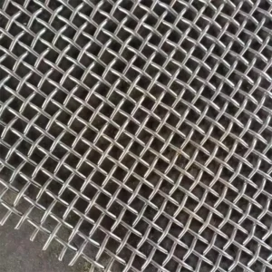 SS 316 304 20 30 40 50 100 200 300 400 Micron Stainless Steel Weave Woven Filter Wire Mesh for Industry