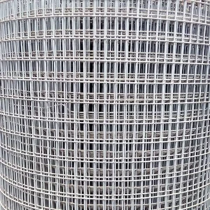 Square Hole Shape Galvanized Welded Iron Wire Mesh Roll PVC Coated Hot Galvanized Welded Wire Mesh for Garden