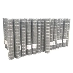 Square Wire Mesh Electro Hot Dipped Galvanized Welded Wire Mesh