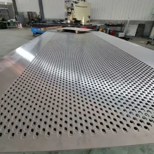 Stainless Steel 304 Perforated Mesh Screen Panel With Cutting Service Decorative Perforated Metal Plate 1.5 2.0 3.0
