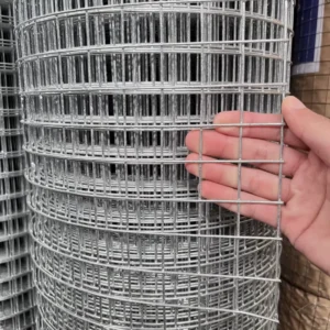 Stainless Steel Welded Iron Wire Mesh Galvanized 8 Gauge 10 Gauge 25mm*25mm Hot Dipping Welded Wire Mesh