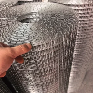 Stainless Steel Welded Wire Mesh for Poultry Cage and Animal Breeding