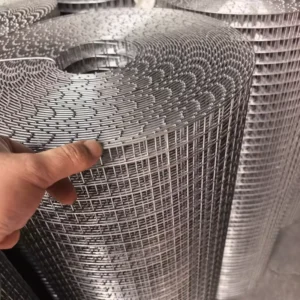 Stainless Steel Welded Wire Mesh for Poultry Cage and Animal Breeding