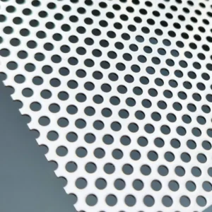 Stainless Steel Wire Mesh Perforated Metal Sheet for Balcony Punched Metal Mesh