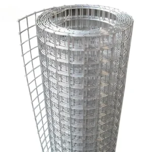 Steel Wire Mesh