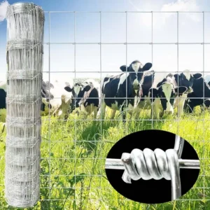 Strong Reliable Galvanized Steel Wire Mesh Plain Weave 6ft Height Eco Friendly Cattle Fencing Weatherproof Anti Rust Livestock