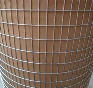 Strong Welded Points Protecting Mesh Stainless Steel Welded Wire Mesh