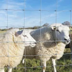 Veldspan High Tensile Galvanized Steel Wire Mesh Grassland Fence Field Farm Fence