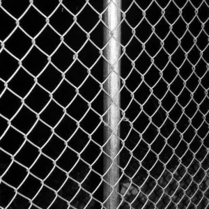 Wire Mesh Fence Anti-Corrosion Anti-Rust Suitable for Coastal Area Food Factory and Medical Facility Perimeter